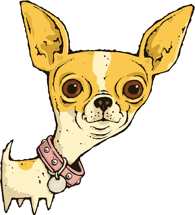 Chihuahua Clipart Png Free