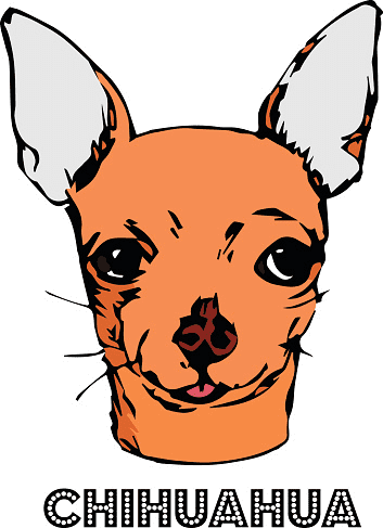 Chihuahua Clipart Png Images