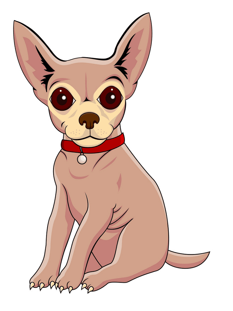 Chihuahua Clipart Png Photo