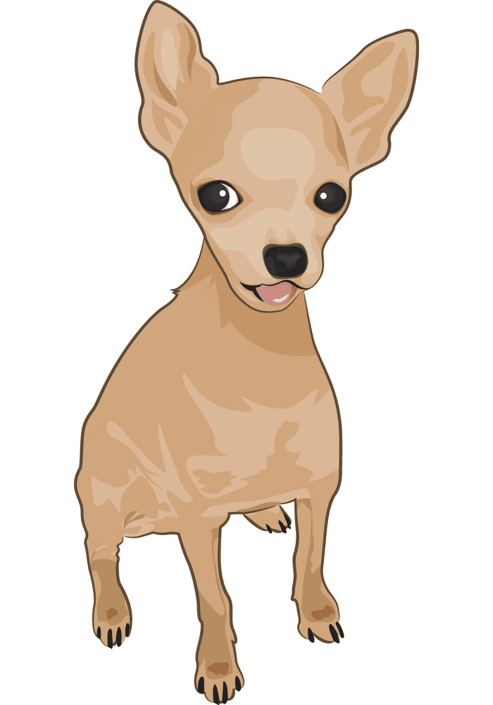 Chihuahua Clipart Png Picture