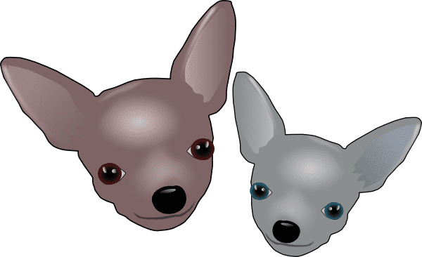 Chihuahua Clipart Png