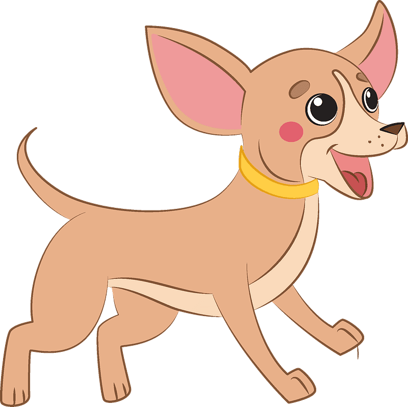 Chihuahua Clipart Transparent For Free