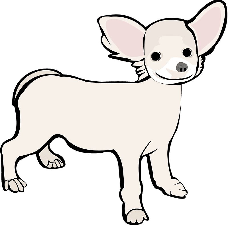 Chihuahua Clipart Transparent Pictures