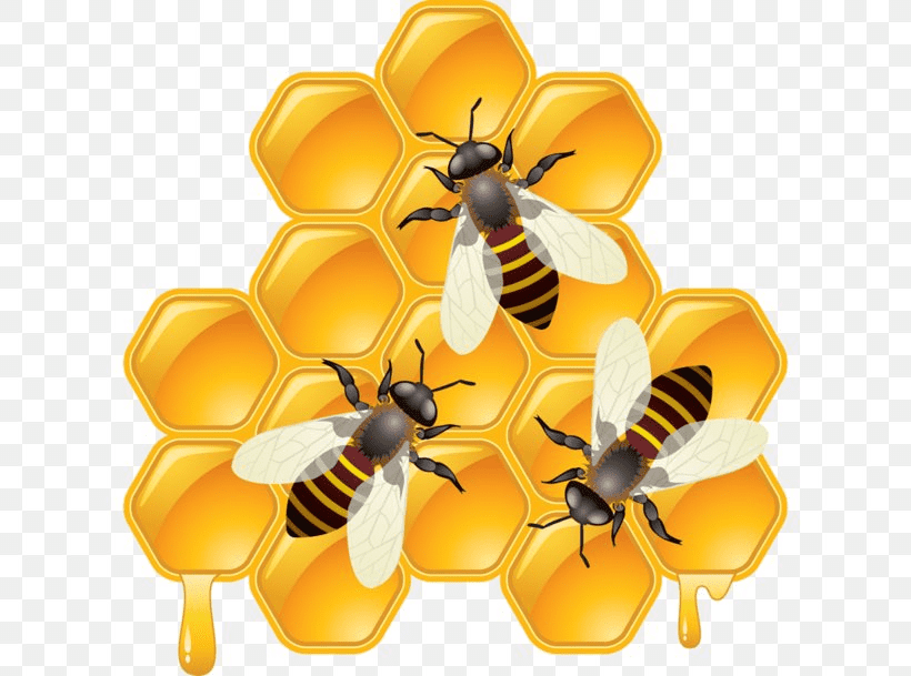 Bees on Honeycomb Clipart