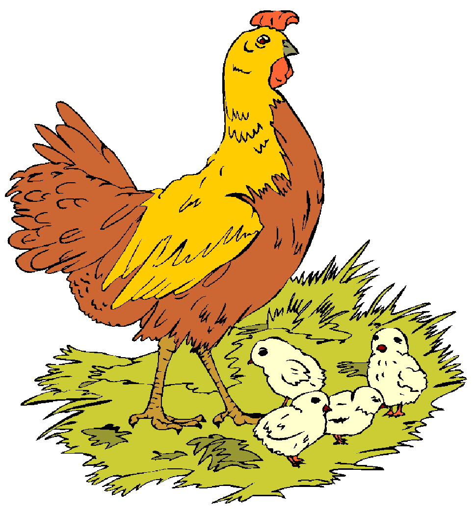 Clipart Hen and Chicks