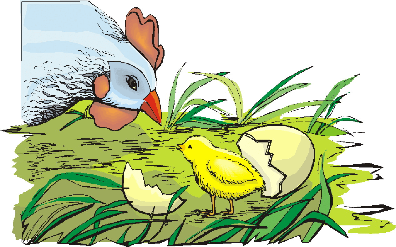 Hen and Chick Clipart