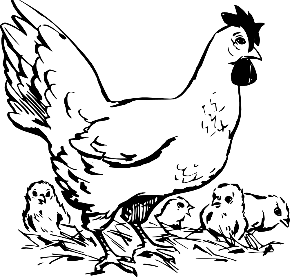 Hen and Chicks Clipart Black and White
