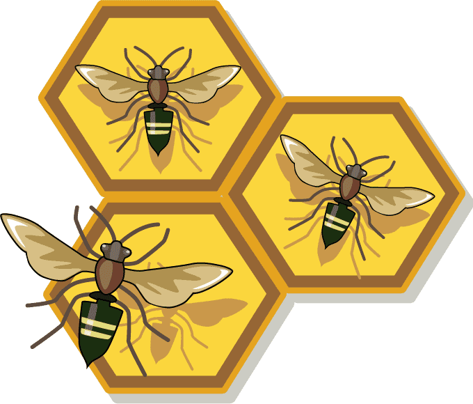Honeycomb Clipart Image