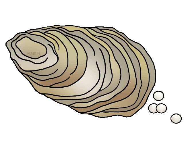 Oyster Clipart Free