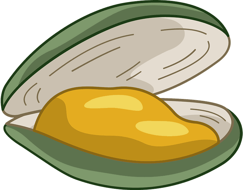 Oyster Clipart Png Transparent