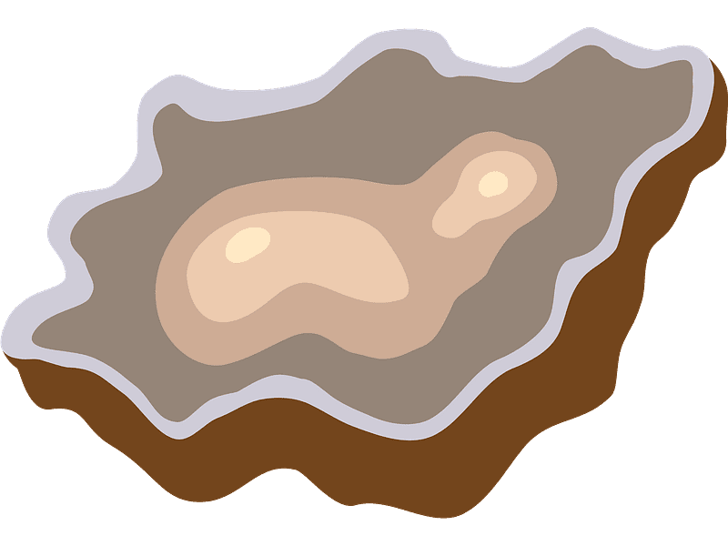 Oyster Clipart Transparent Download