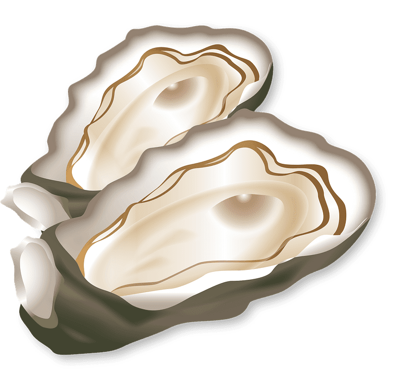 Oyster Clipart Transparent For Free