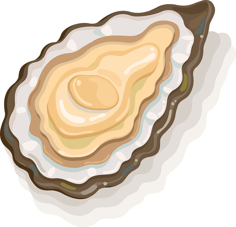 Oyster Clipart Transparent Image