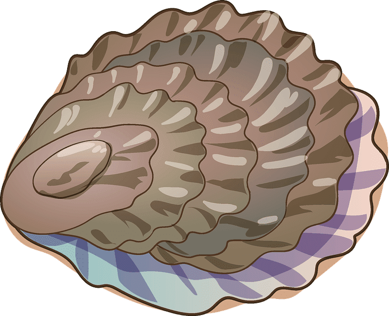 Oyster Clipart Transparent Picture