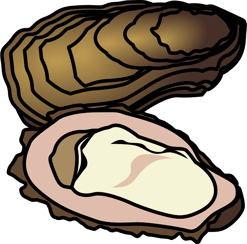Oyster Clipart Transparent Png
