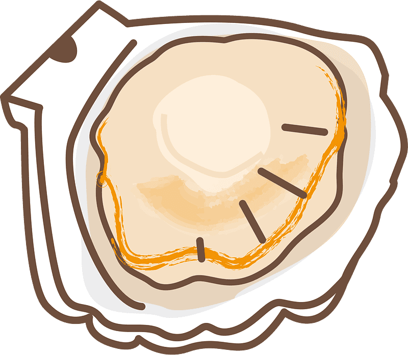 Oyster Clipart Transparent