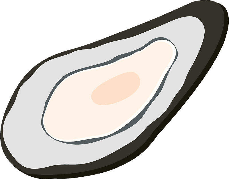 Oyster Transparent Image