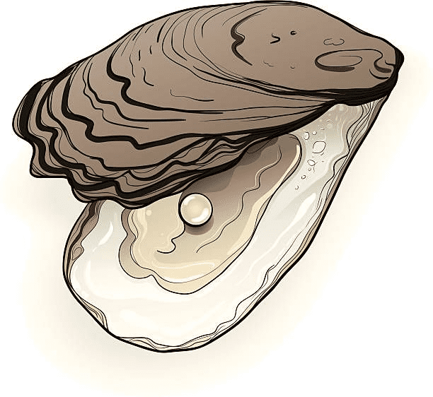 Oyster with Pearl Clipart