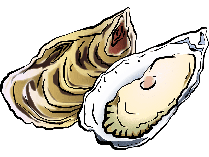 Oysters Clipart Transparent