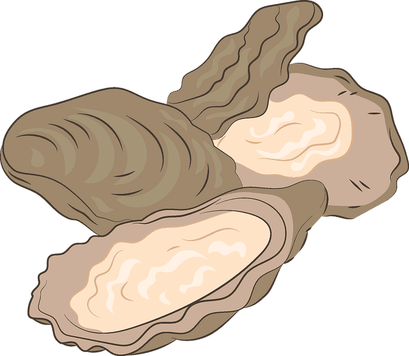 Oysters Transparent Clipart