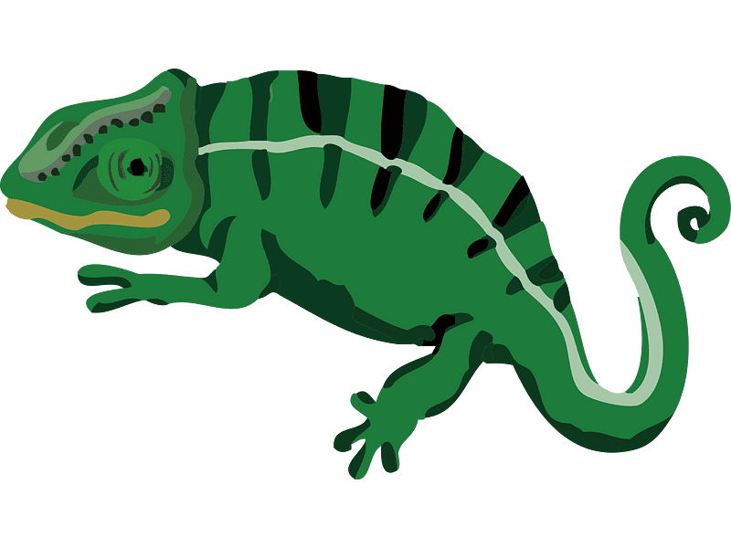 Chameleon Clipart Transparent