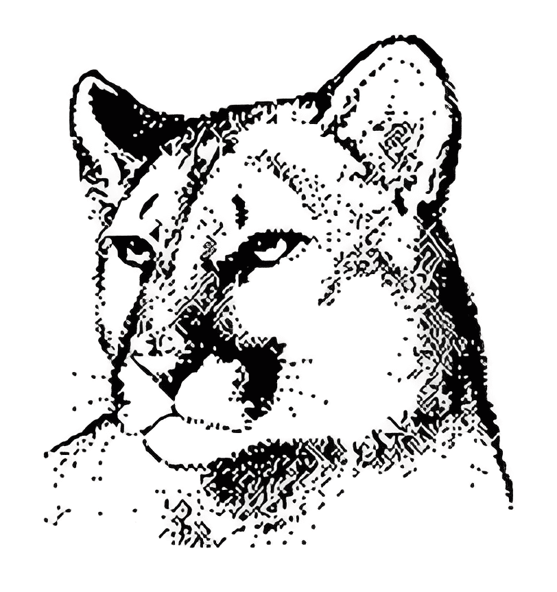 Cougar Black and White Clipart