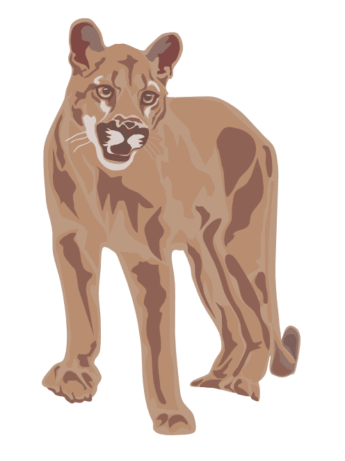 Cougar Clipart Download