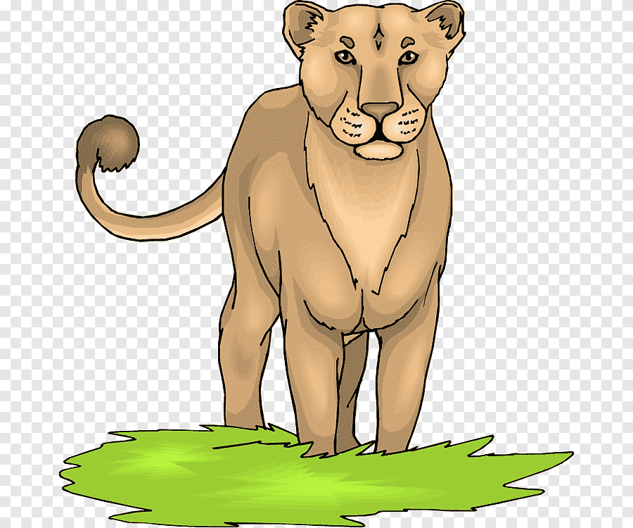 Cougar Clipart Free Pictures