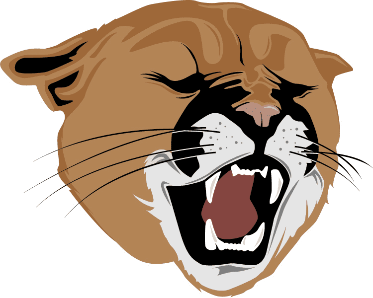 Cougar Clipart Picture