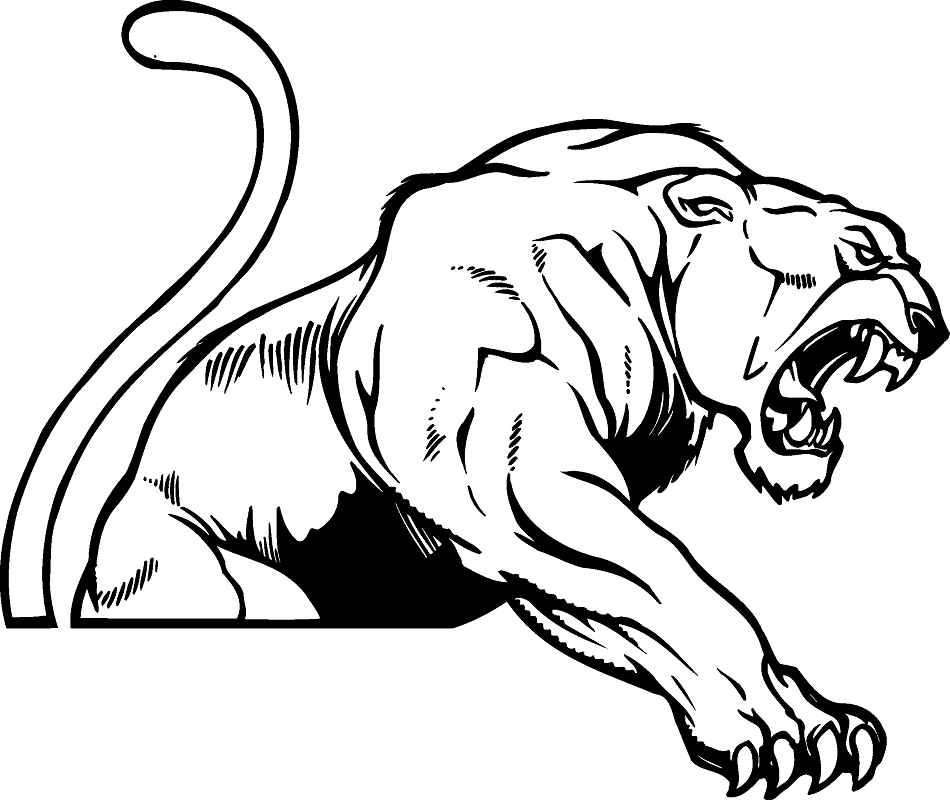 Cougar Clipart Png Black and White