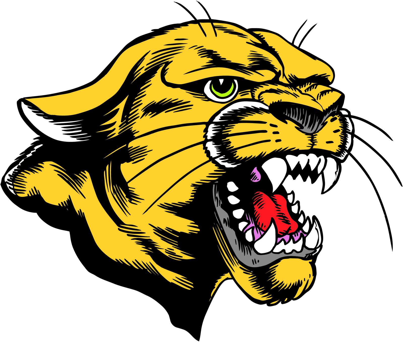 Cougar Clipart Png