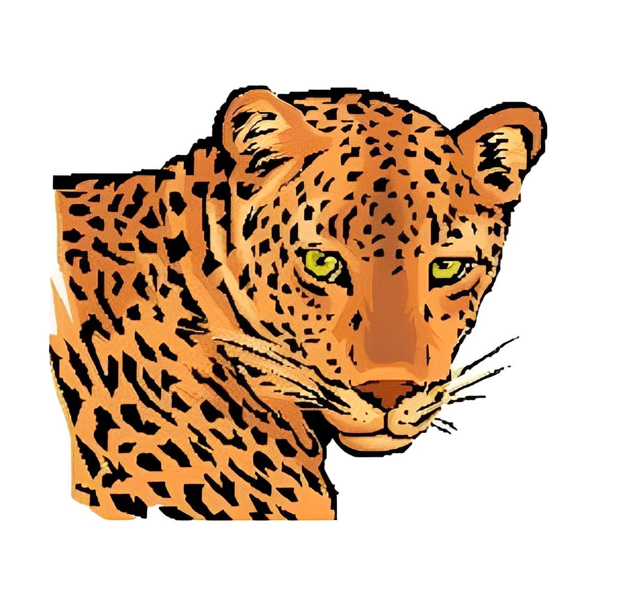 Leopard Clipart Photo