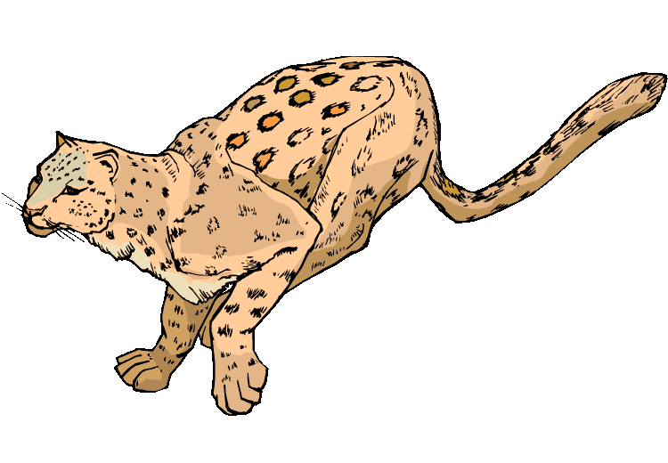 Leopard Clipart Png Free