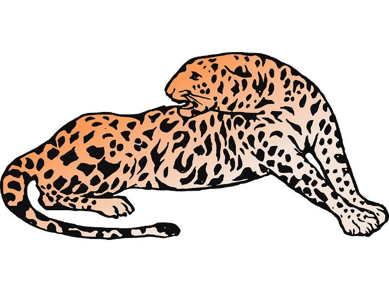 Leopard Clipart Transparent Background