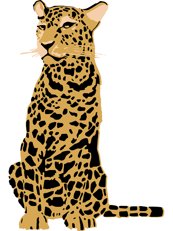 Leopard Clipart Transparent Free