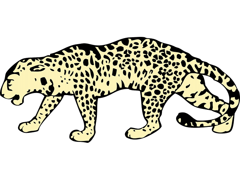 Leopard Clipart Transparent