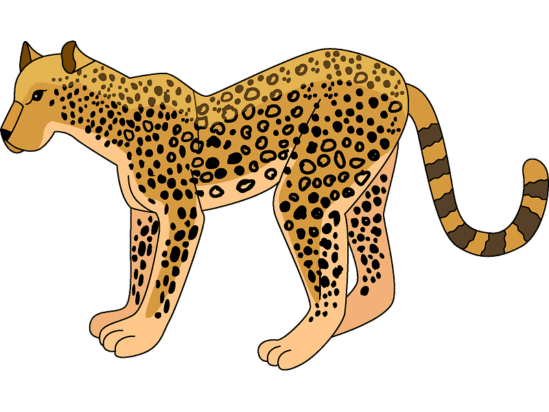 Leopard Transparent Clipart