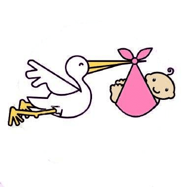 Baby Stork Clipart For Free
