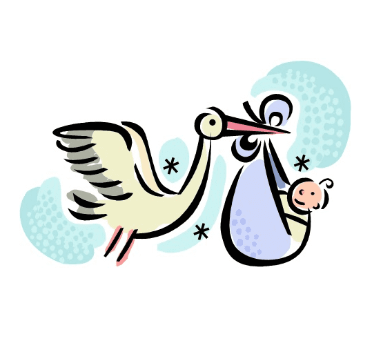 Baby Stork Clipart Images