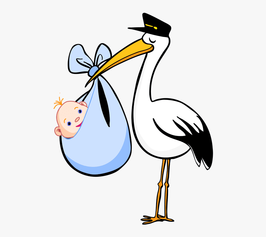 Baby Stork Clipart Png Free