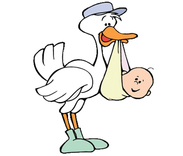 Baby Stork Clipart Png