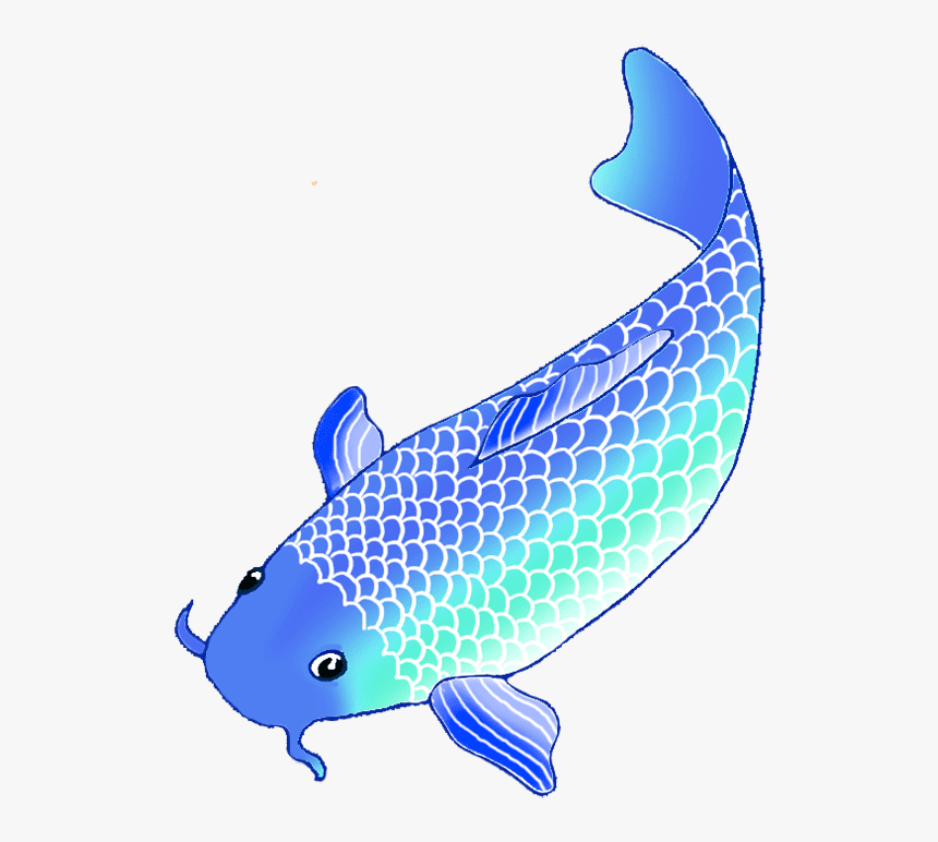 Blue Koi Fish Clipart