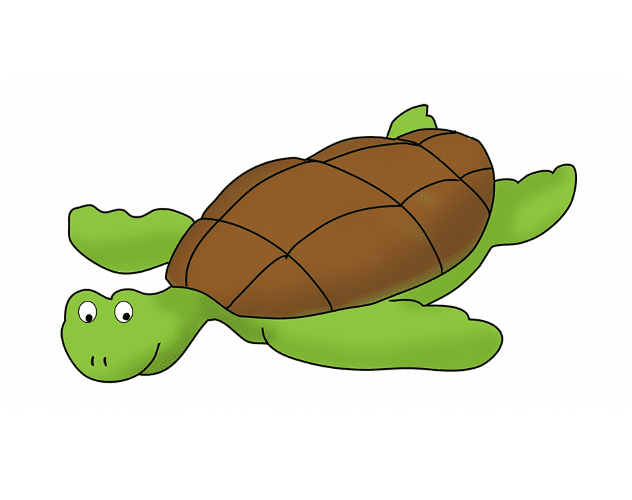 Cartoon Sea Turtle Clipart