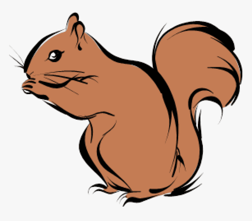 Chipmunk Clipart Free Picture