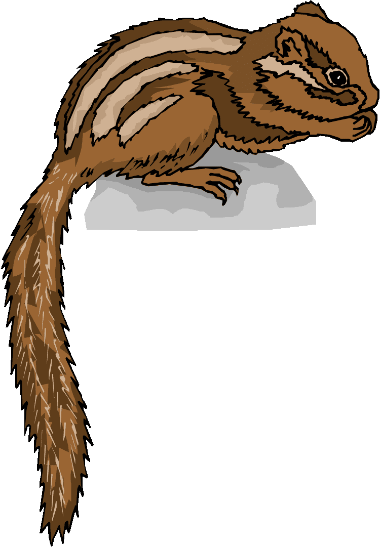 Chipmunk Clipart Free Pictures