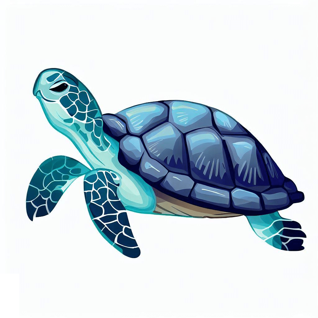 Clipart Sea Turtle