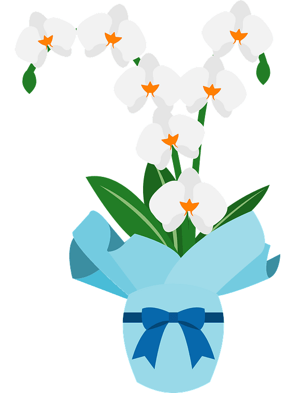 Free Orchid Clipart Transparent Background