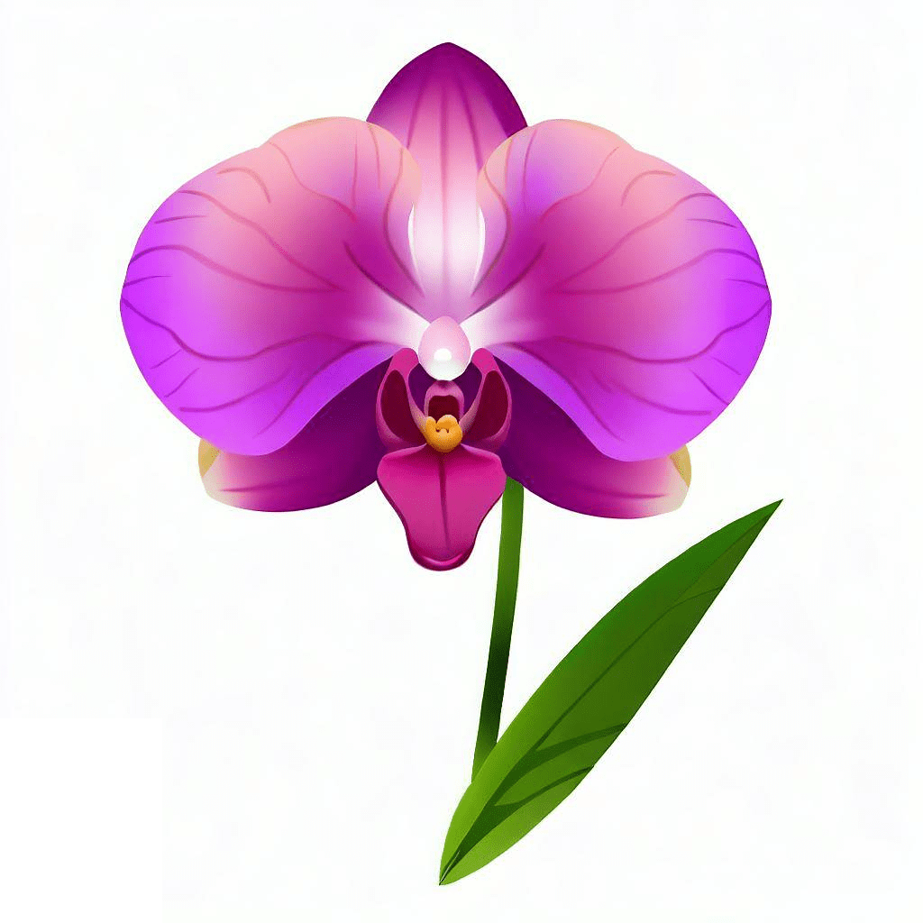 Free Orchid Flower Clipart