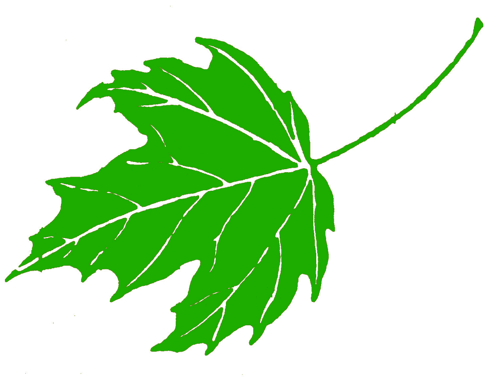 Green Maple Leaf Png Clipart