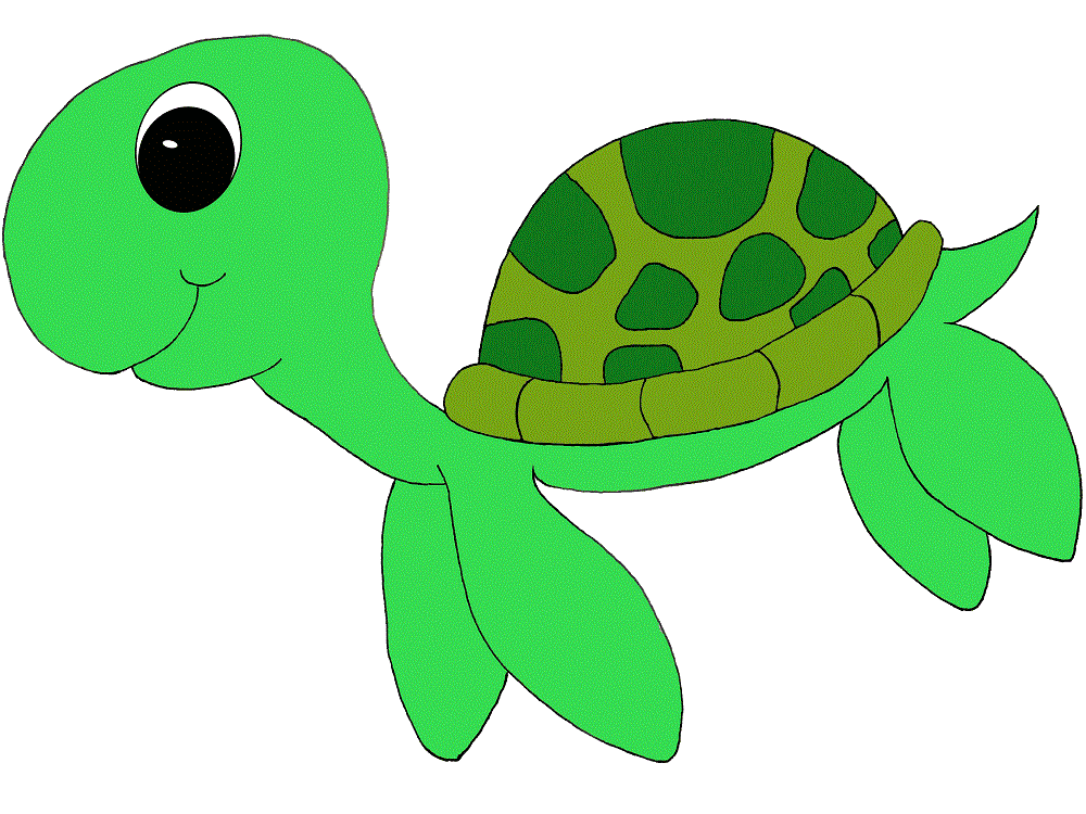 Green Sea Turtle Clipart